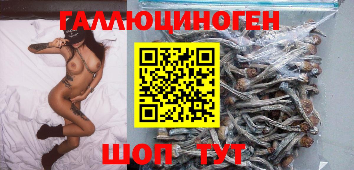Псилоцибиновые грибы прущие грибы  Вход с VPN  Сыктывкар 