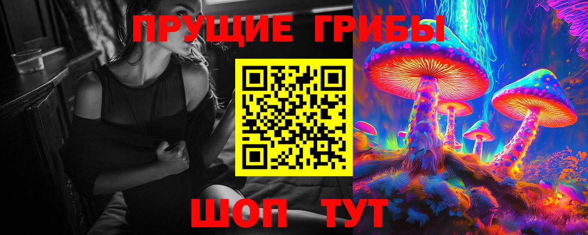Галлюциногенные грибы мухоморы Сыктывкар